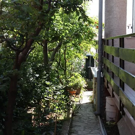Apartments With Parking Space Zadar - Diklo, Zadar - 6453 Apartment *